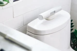 Portable Bidet Australia