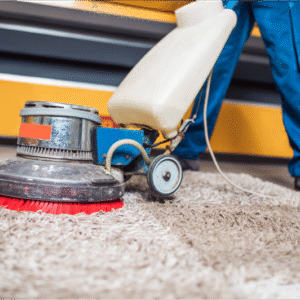 Carpet Cleaning Companies