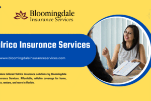 Valrico Insurance