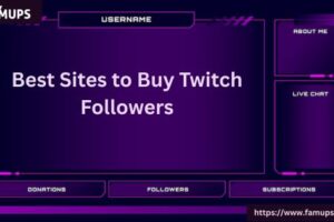 Best Sites to Buy Twitch Followers