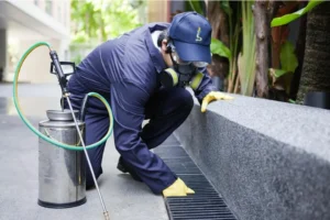 Pest Control