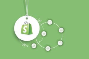 Best Niches for Done-for-You Shopify Stores in 2025