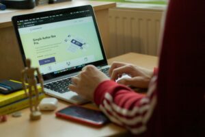 WordPress Development Company