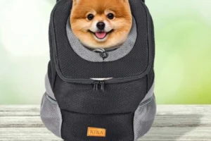 small pet carrier