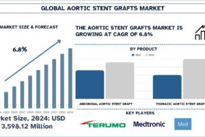 Aortic Stent Grafts Market