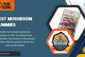 Best Mushroom Gummies