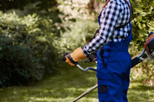 Lawn Clean Up Services