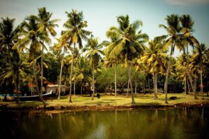 14 days south india tour packages