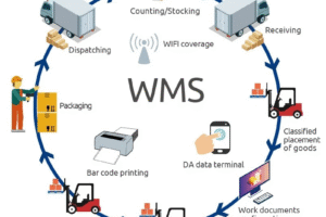 Examples of Warehouse Management Systems