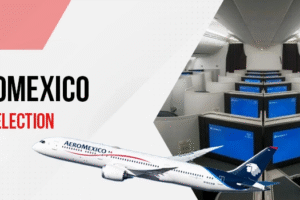 Aeromexico seat selection fee
