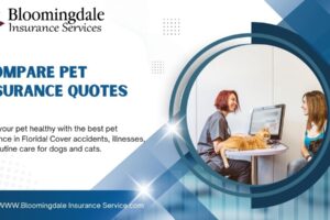 Compare Pet Insurance Quotes