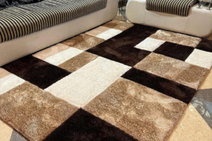 shaggy carpets for living room