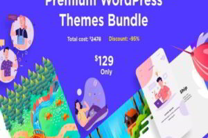 premium WordPress themes
