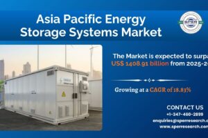 Asia Pacific Energy Storage Systems Market