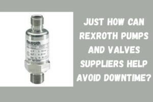 Rexroth Pumps and Valves supplier in qatar