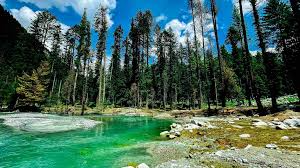 Lush Green Meadows Kumrat