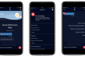 mobile app development