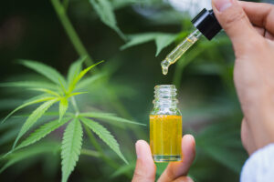 Buy CBD Products in Pinellas Park