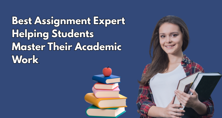 assignment expert