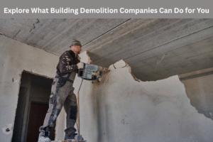 Explore What Building Demolition Companies Can Do for You