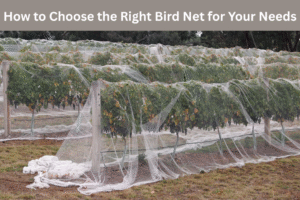 How to Choose the Right Bird Net for Your Needs