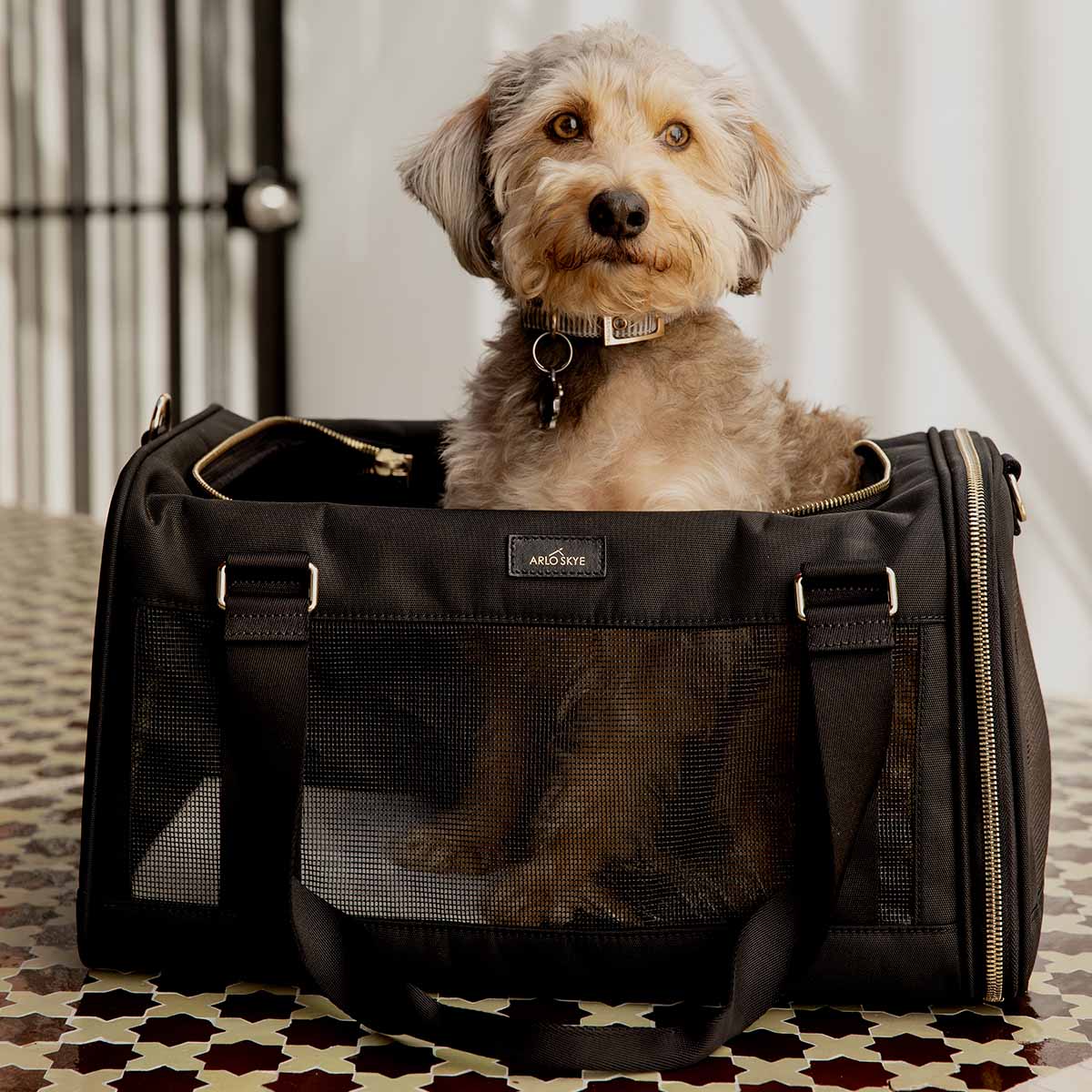 dog carrier sling