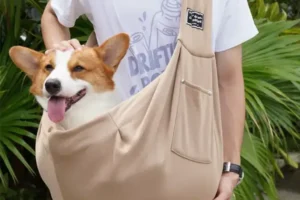 dog carrying purse