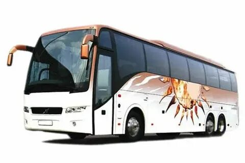 Wedding Transportation Near Me – Safe Group Transfers