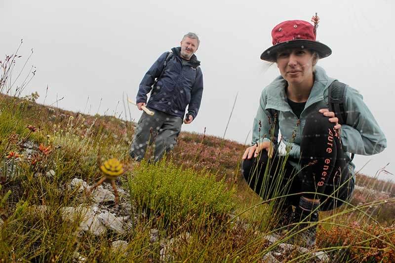 Blue-Mountain-Trail-keen-photographers-nature-lovers