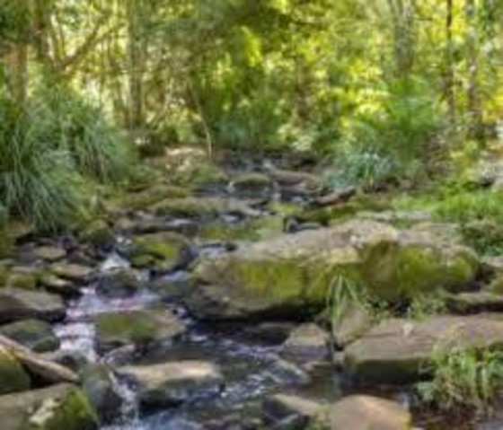 Building and Pest Inspection in Northern rivers