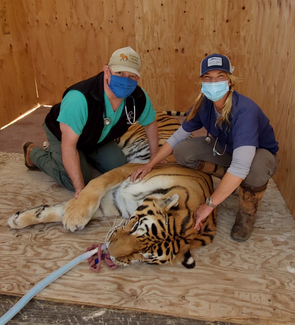 How USDA Veterinary Services Ensure Health for All Animals