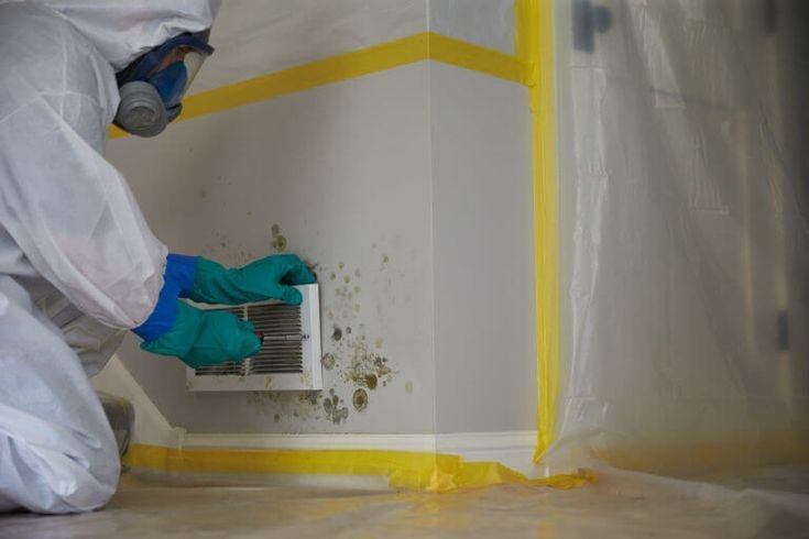 residential mold removal service Norwood OH