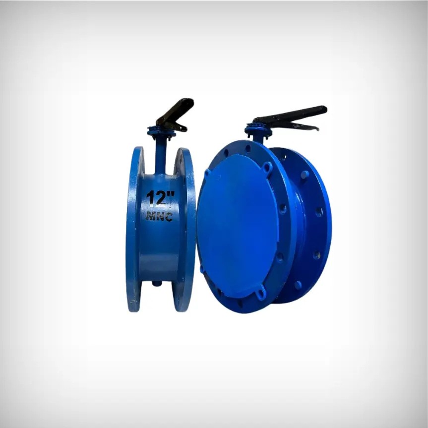 Double Flanged Butterfly Valve Manufacturers in Ahmedabad, India | MNC VALVES