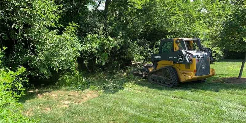 Heavy Brush Removal Services