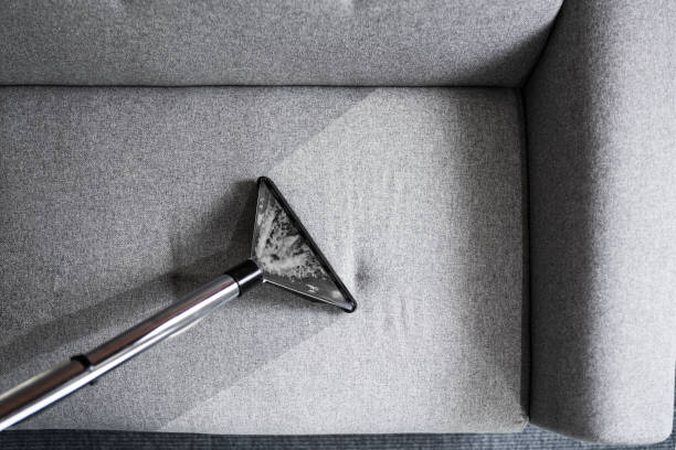 Steam Cleaning Sofa: Pros, Cons, and How-To