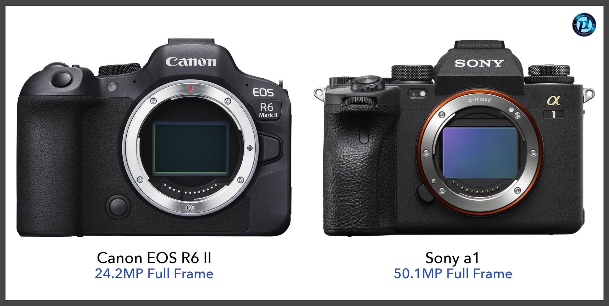Sony A7 IV vs Canon EOS R6 Mark