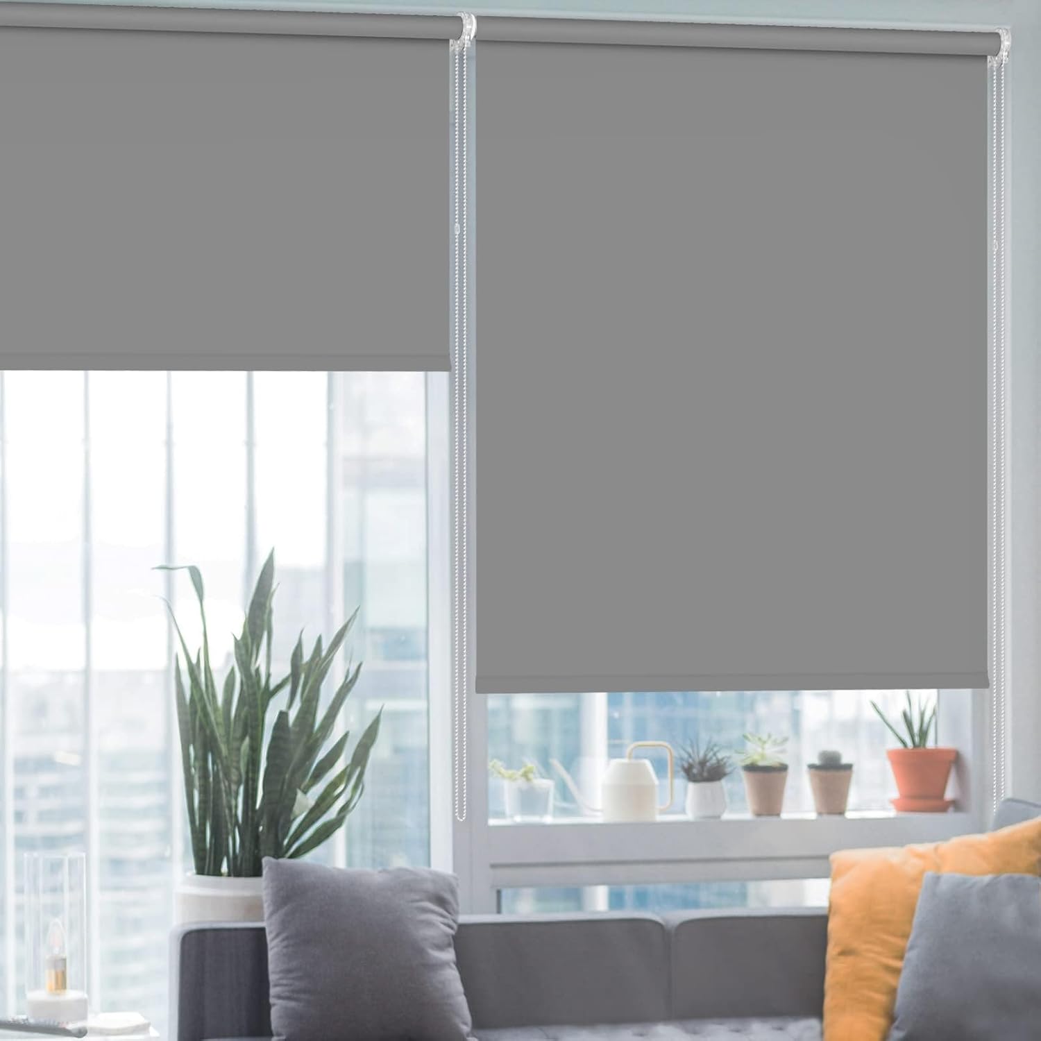 Blackout Blinds