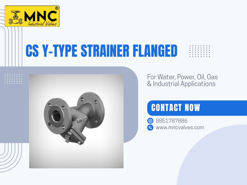 Why Industries Rely on Y-Type Strainer Manufacturers in India & Worldwide | MNC VALVES Ahmedabad