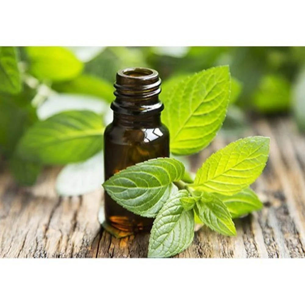 Spearmint oil manufacturers produce pure and natural spearmint essential oil.
