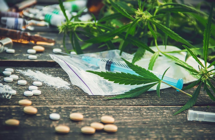 Top Benefits of Holding a Medical Marijuana Card Sarasota Residents Need to Know