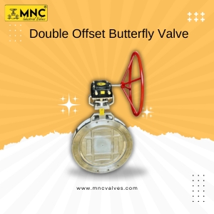 Double Offset Butterfly Valve Manufacturers in Ahmedabad, India — for Industrial Buyers?