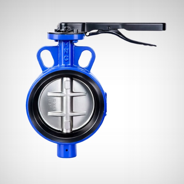 Wafer Type Butterfly Valve Manufacturers in Ahmedabad, India